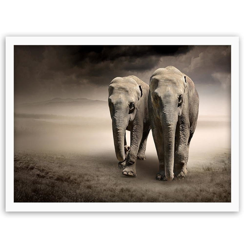 Glezna baltā rāmī - Two Elephants  Home Trends DECO
