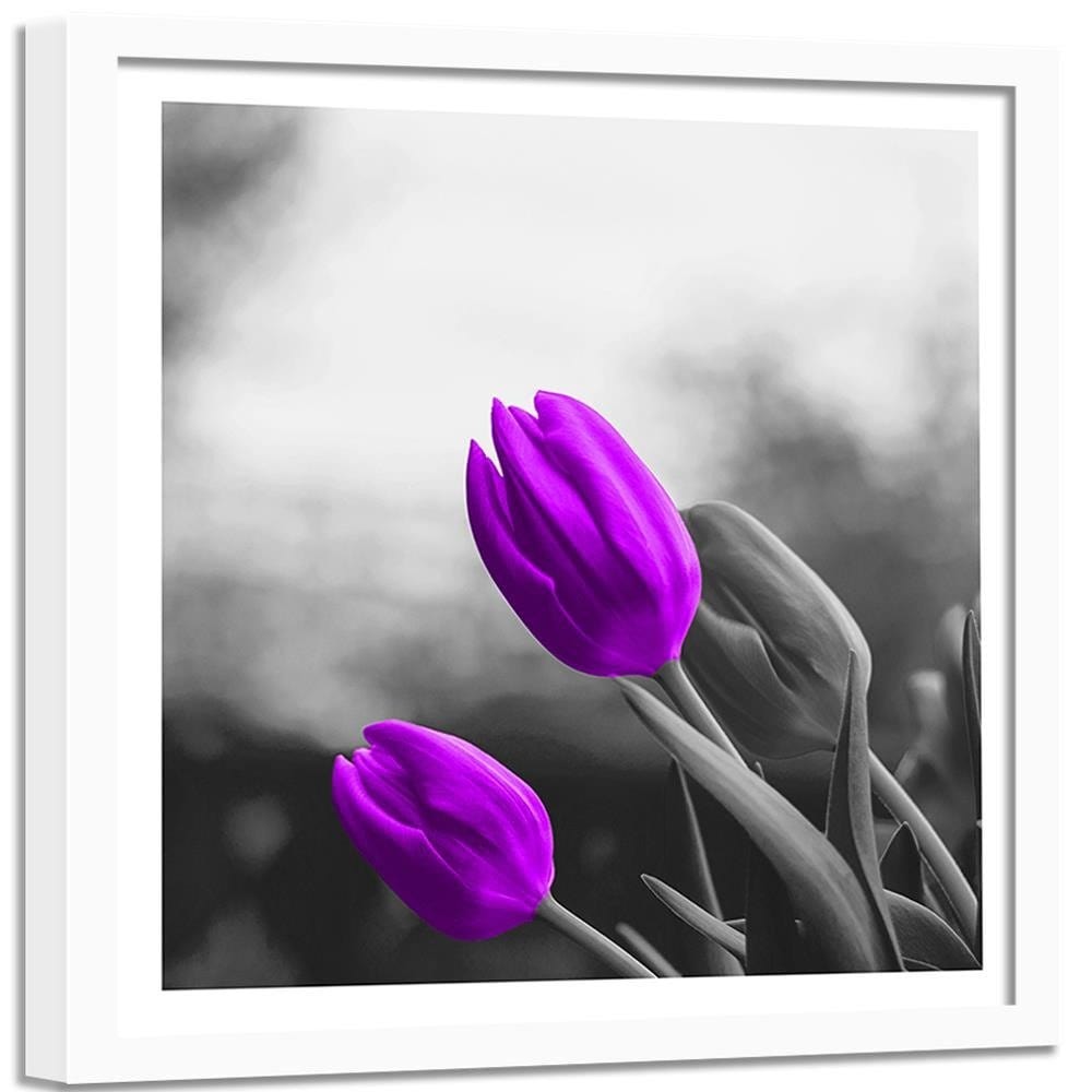 Glezna baltā rāmī - Two Purple Tulips  Home Trends DECO