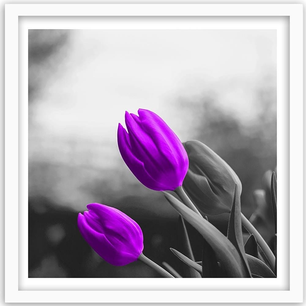 Glezna baltā rāmī - Two Purple Tulips  Home Trends DECO