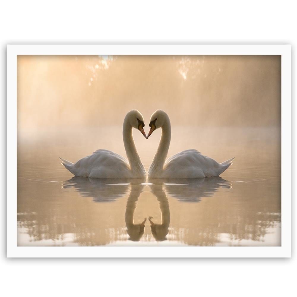 Glezna baltā rāmī - Two Swans  Home Trends DECO