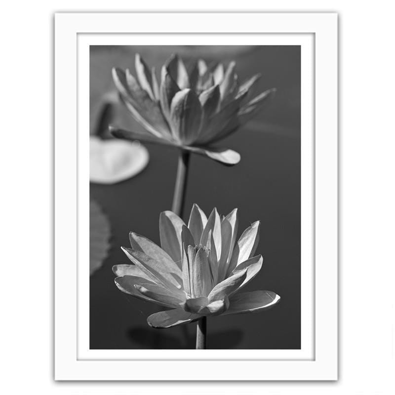 Glezna baltā rāmī - Two water lilies  Home Trends DECO