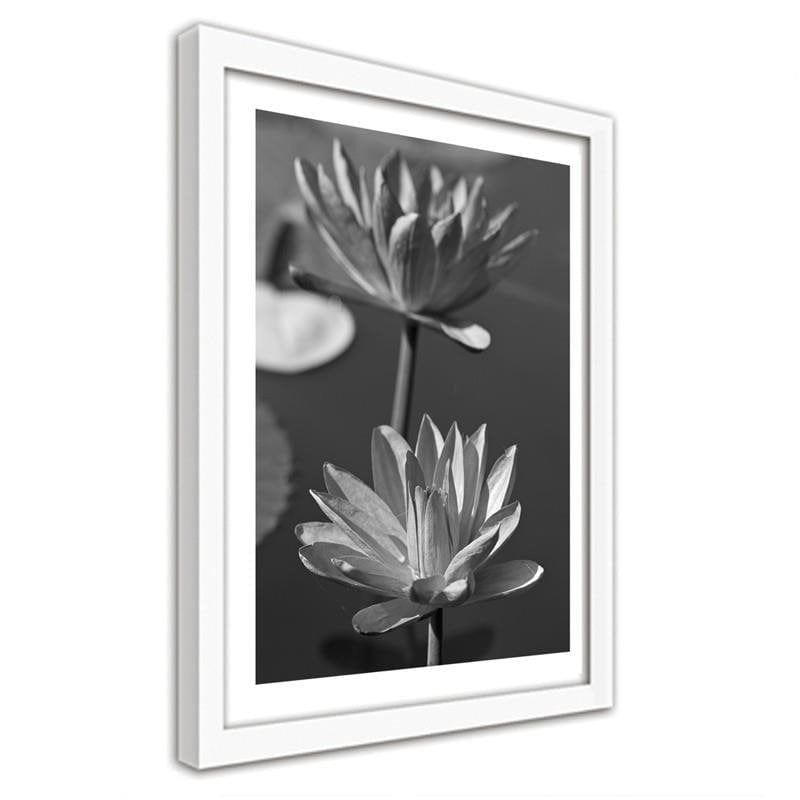 Glezna baltā rāmī - Two water lilies  Home Trends DECO