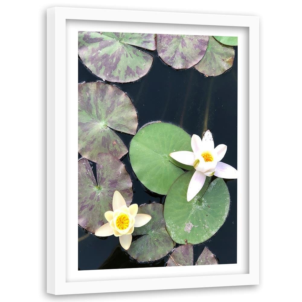 Glezna baltā rāmī - Two Water Lilies  Home Trends DECO