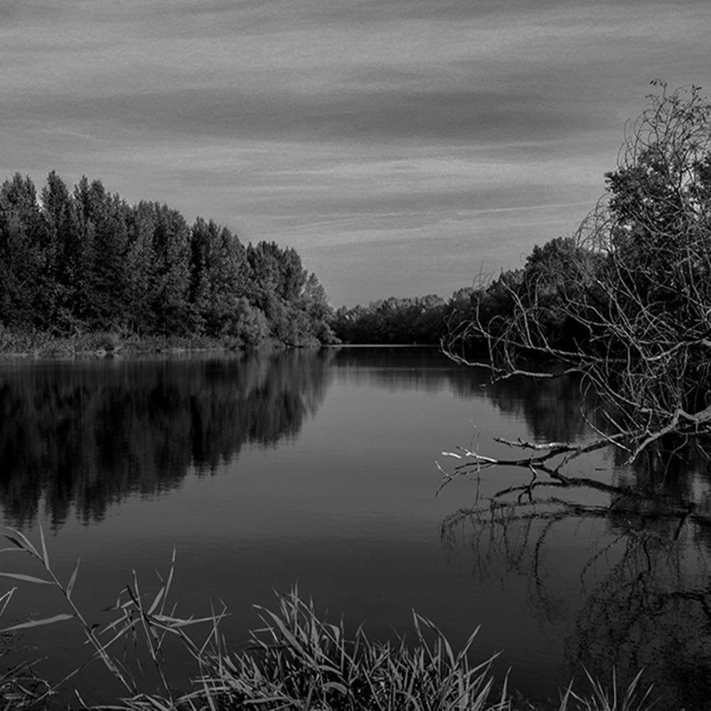 Glezna baltā rāmī - View Of The Lake 2  Home Trends DECO