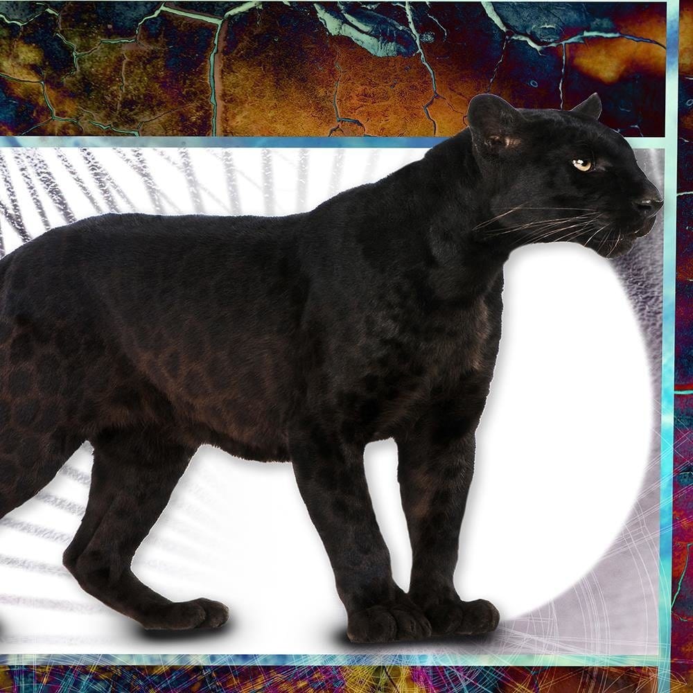 Glezna baltā rāmī - Vigilant Panther  Home Trends DECO