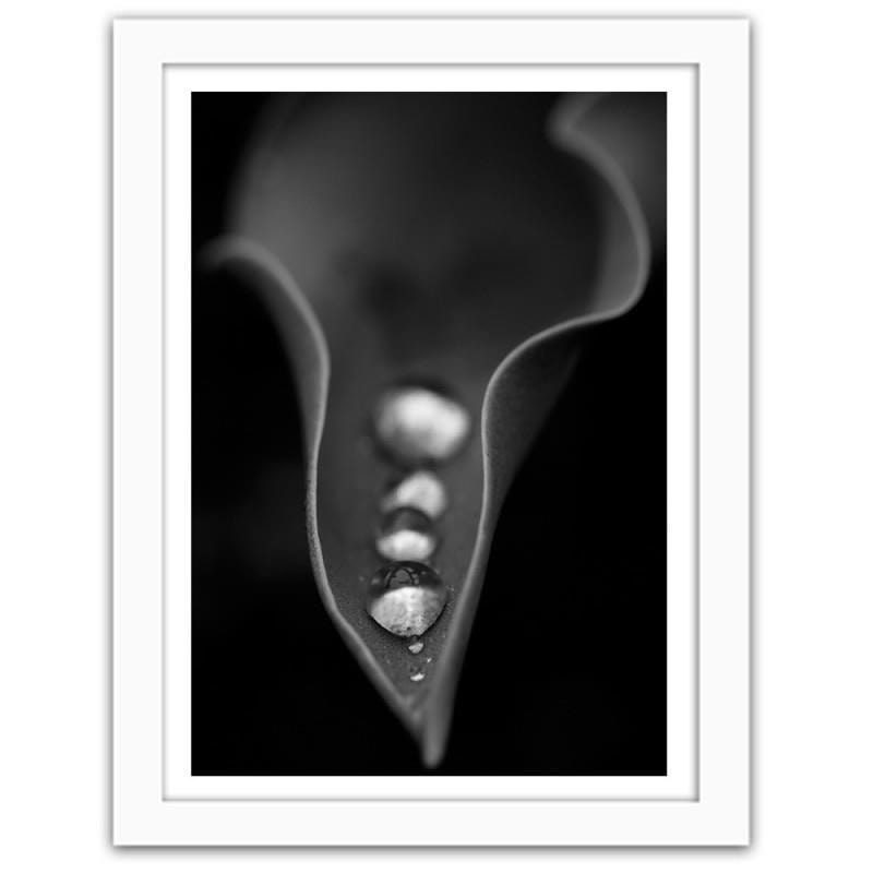 Glezna baltā rāmī - Water drops on the leaf  Home Trends DECO