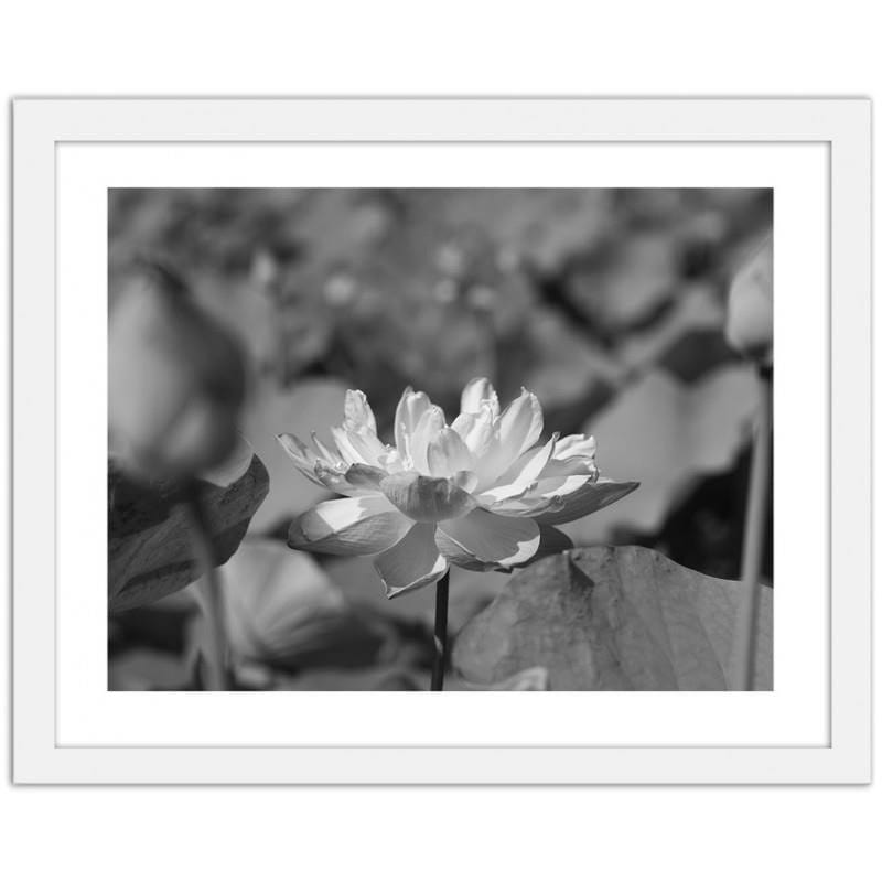 Glezna baltā rāmī - Water lilies  Home Trends DECO