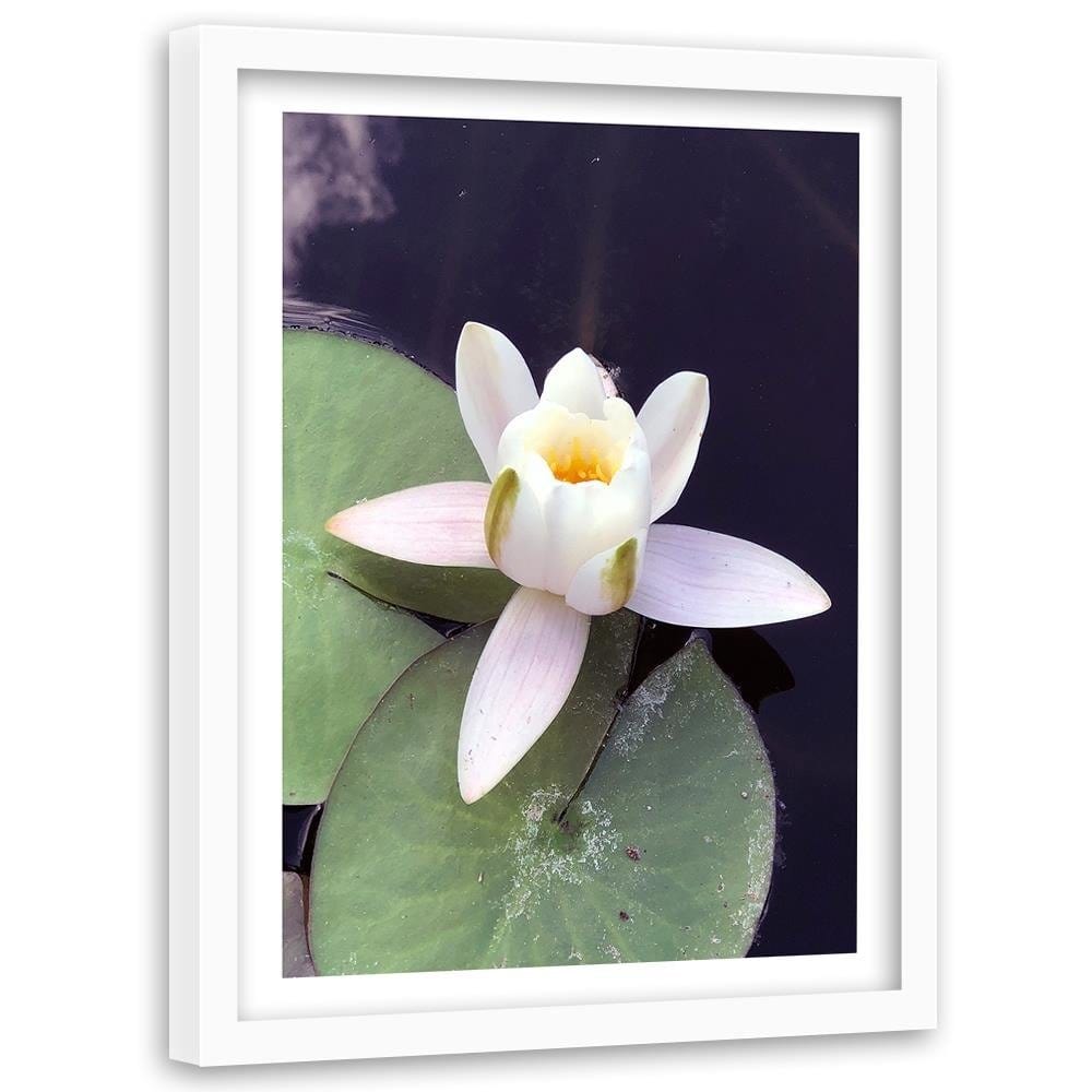 Glezna baltā rāmī - Water Lily Flower  Home Trends DECO
