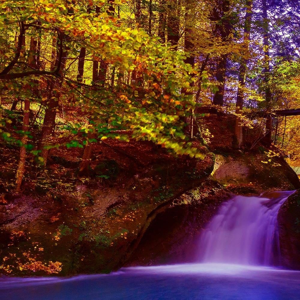 Glezna baltā rāmī - Waterfall And Autumn Trees 3  Home Trends DECO