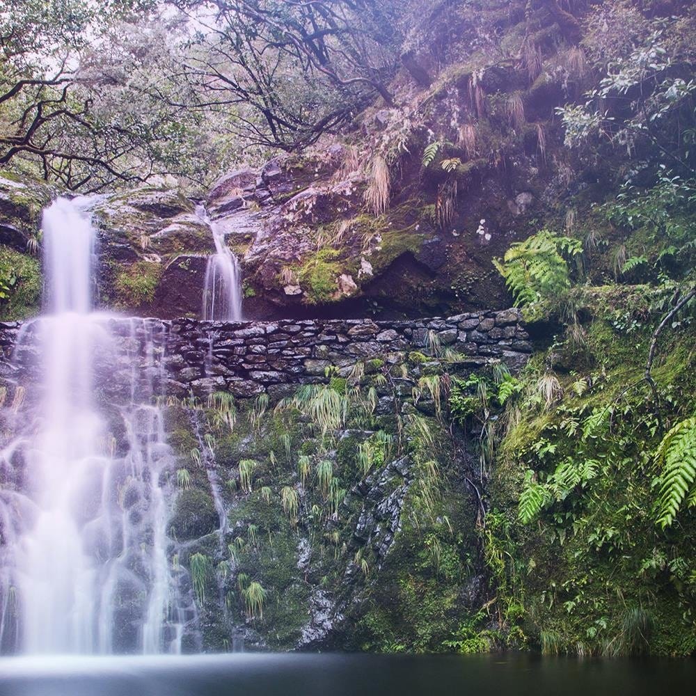 Glezna baltā rāmī - Waterfall In The Forest  Home Trends DECO