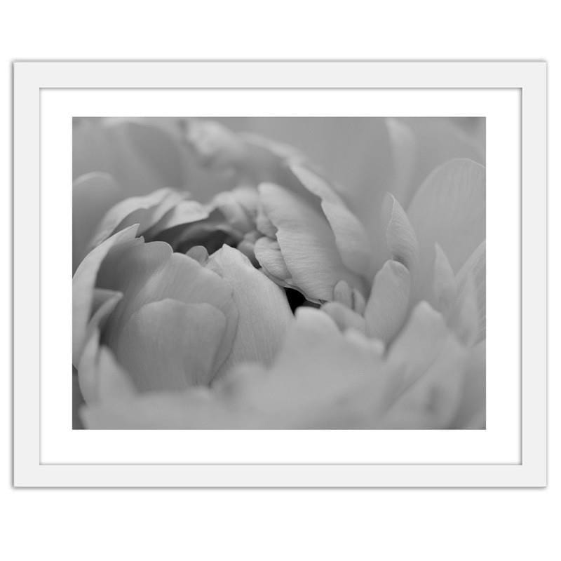 Glezna baltā rāmī - White flowers macro  Home Trends DECO