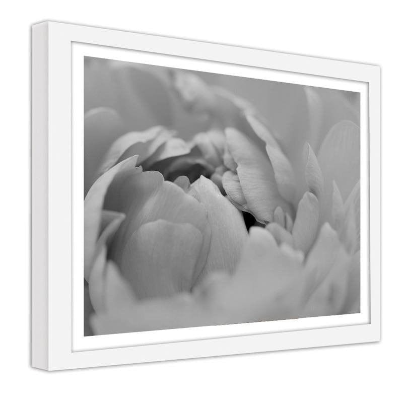 Glezna baltā rāmī - White flowers macro  Home Trends DECO