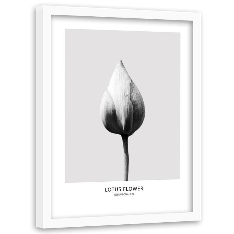 Glezna baltā rāmī - White Lotus Bud  Home Trends DECO