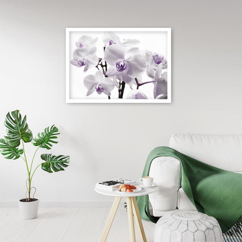 Glezna baltā rāmī - White Orchid 3  Home Trends DECO
