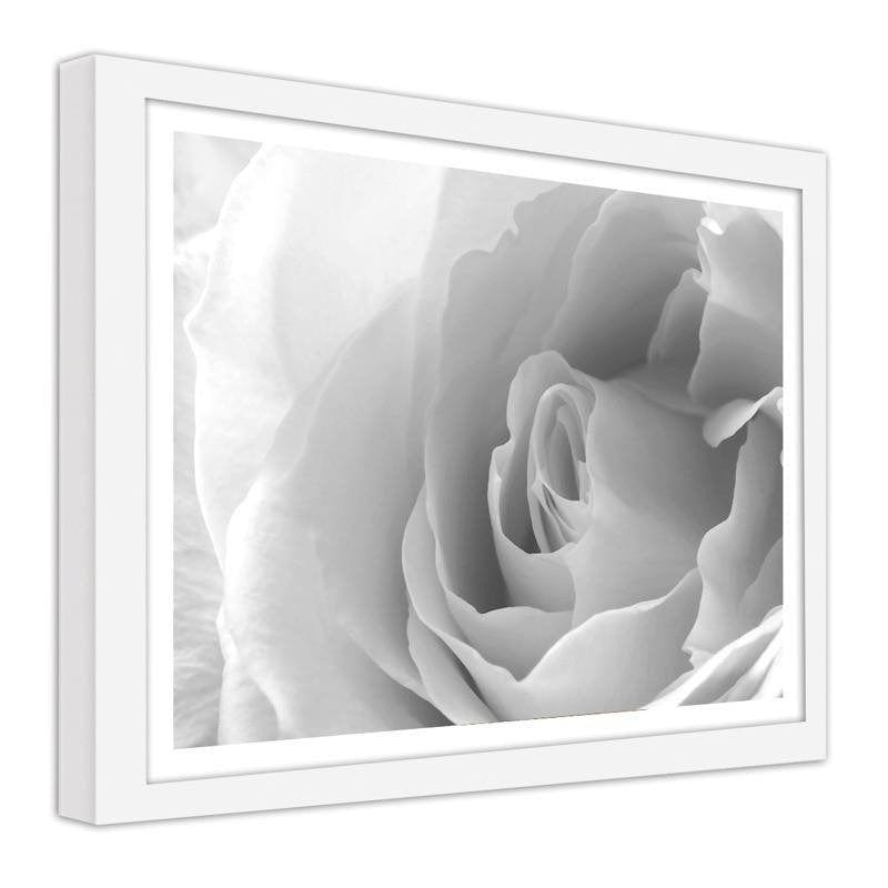 Glezna baltā rāmī - White rose 3  Home Trends DECO