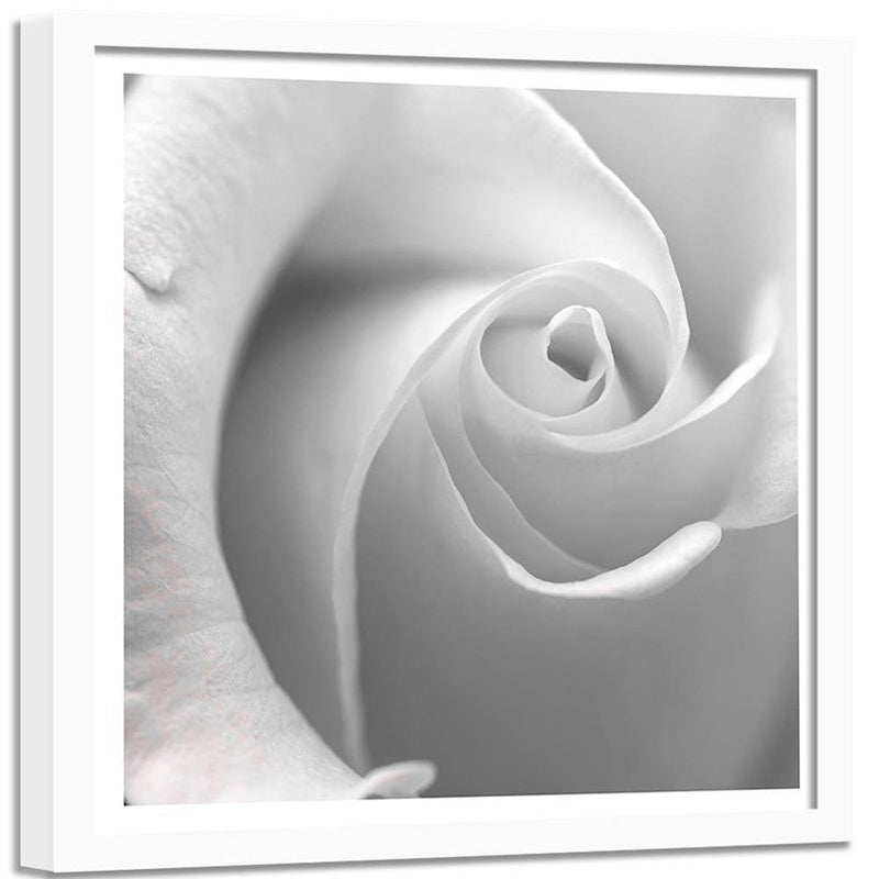 Glezna baltā rāmī - White Rose  Home Trends DECO