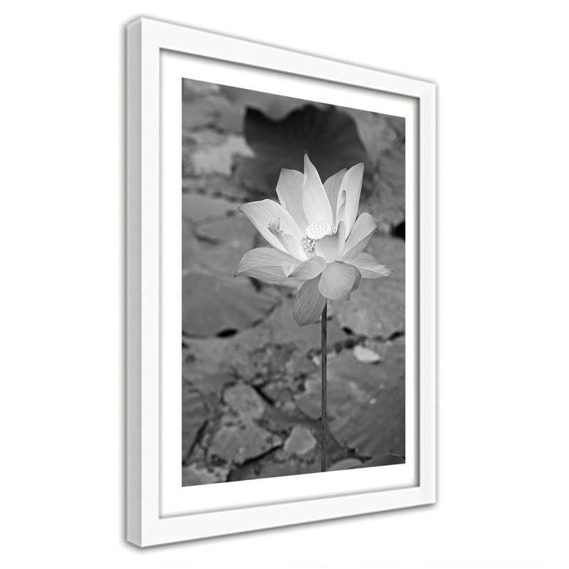Glezna baltā rāmī - White water lily  Home Trends DECO