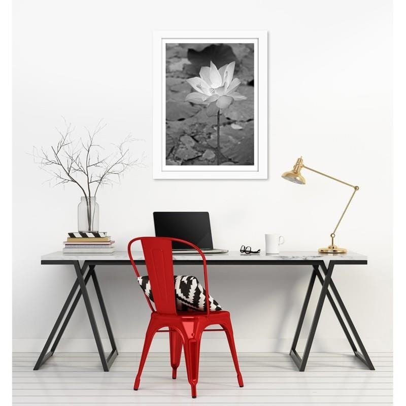 Glezna baltā rāmī - White water lily  Home Trends DECO