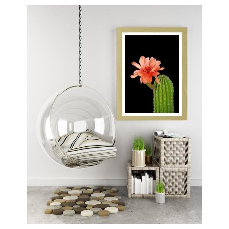 Glezna bēšā rāmī - A cactus with a red flower  Home Trends DECO