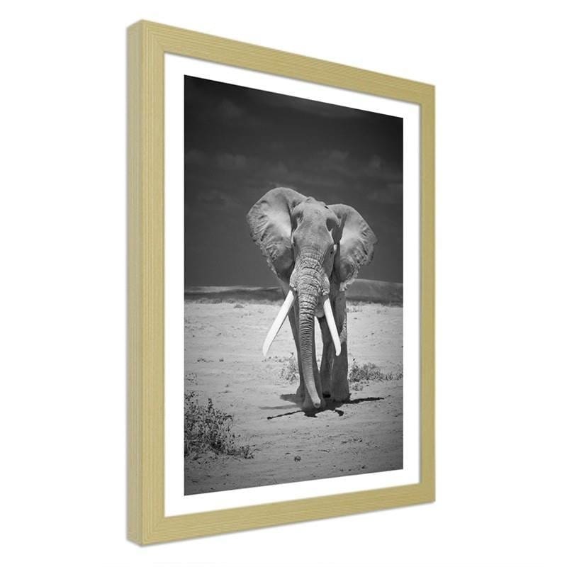 Glezna bēšā rāmī - A lonely wandering elephant  Home Trends DECO