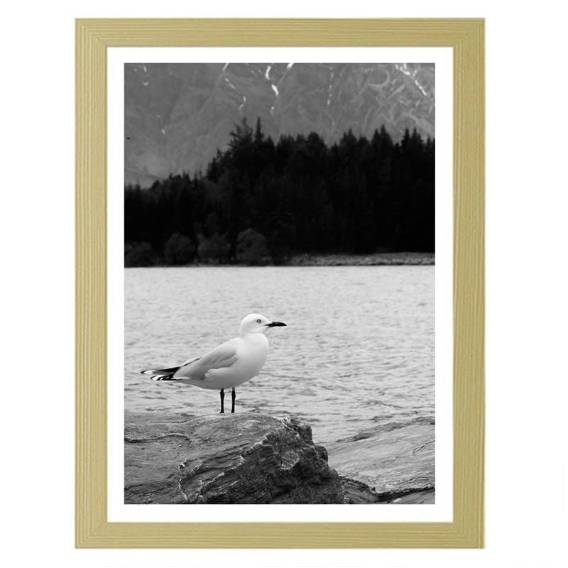 Glezna bēšā rāmī - A seagull on a rock  Home Trends DECO