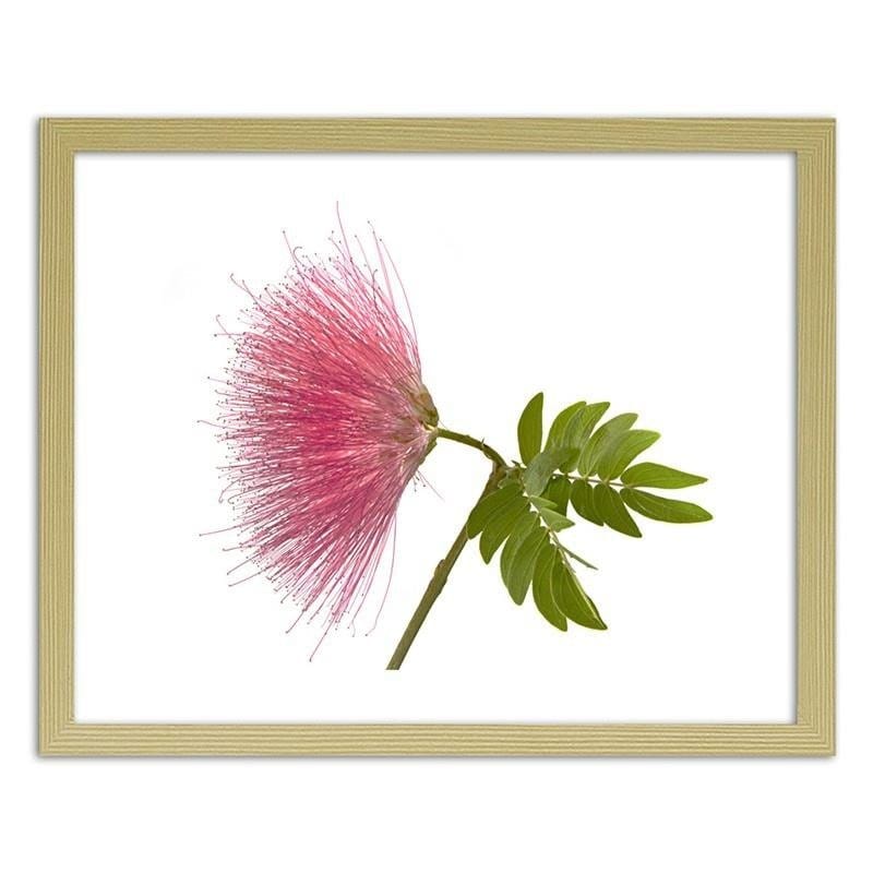 Glezna bēšā rāmī - Pink flower 2  Home Trends DECO