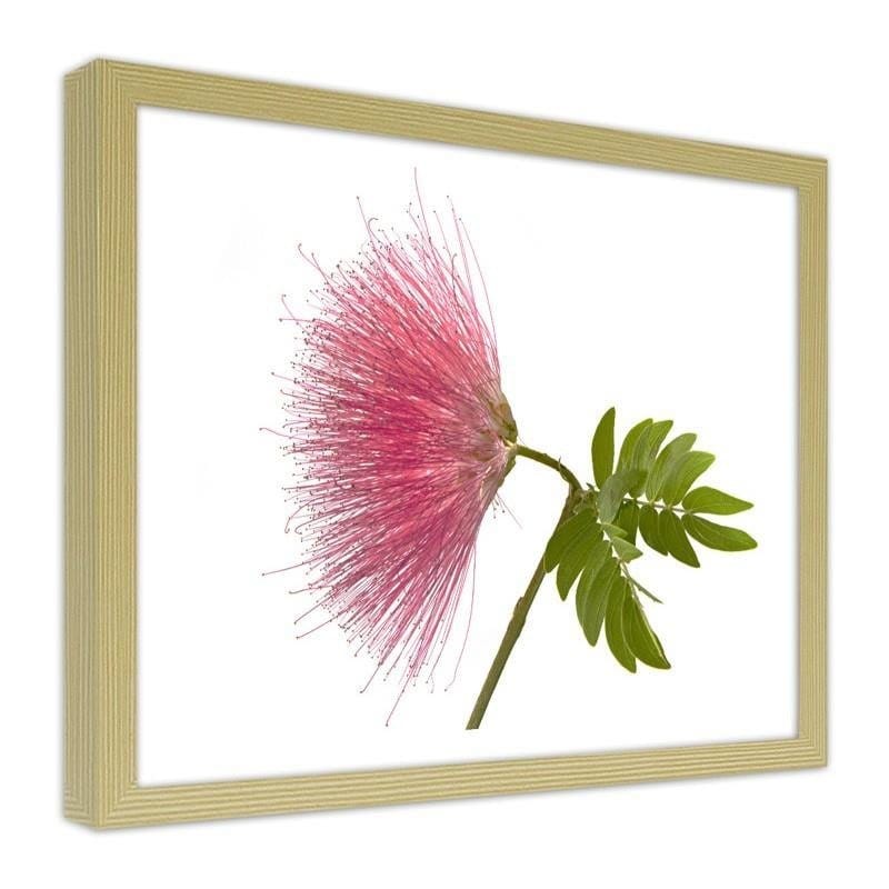 Glezna bēšā rāmī - Pink flower 2  Home Trends DECO