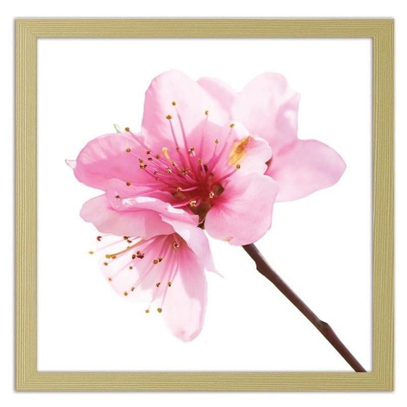 Glezna bēšā rāmī - Pink flower 3  Home Trends DECO