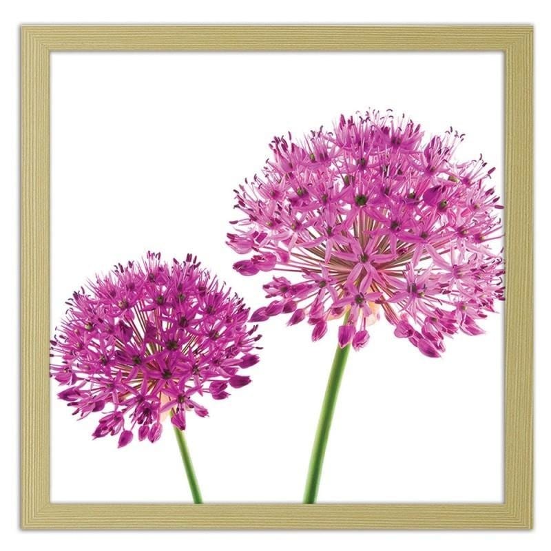 Glezna bēšā rāmī - Pink garlic flower  Home Trends DECO