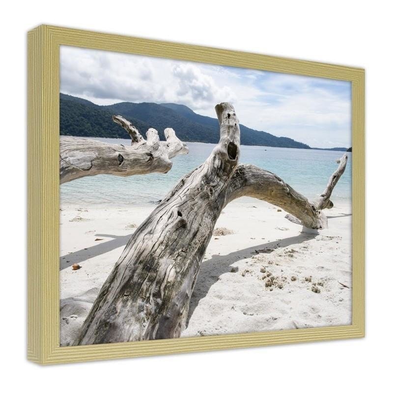 Glezna bēšā rāmī - The branches of a tree on a tropical beach  Home Trends DECO