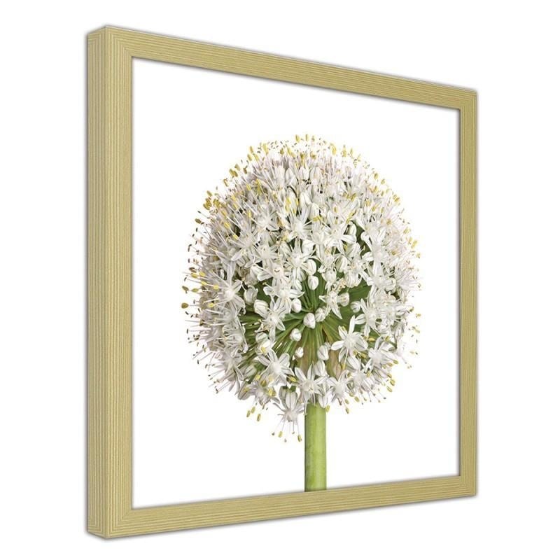 Glezna bēšā rāmī - White garlic flower  Home Trends DECO