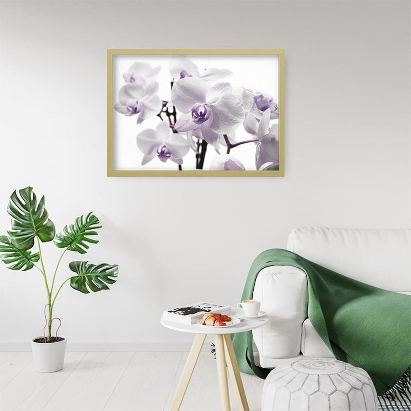 Glezna bēšā rāmī - White Orchid 3  Home Trends DECO
