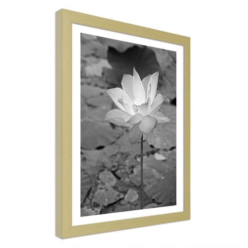 Glezna bēšā rāmī - White water lily  Home Trends DECO