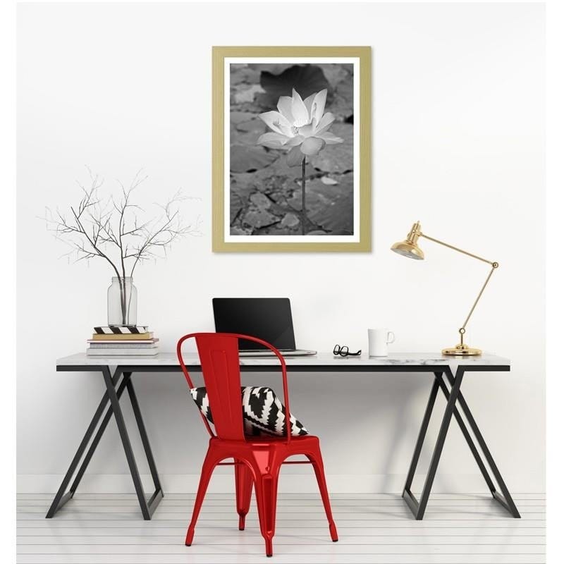Glezna bēšā rāmī - White water lily  Home Trends DECO