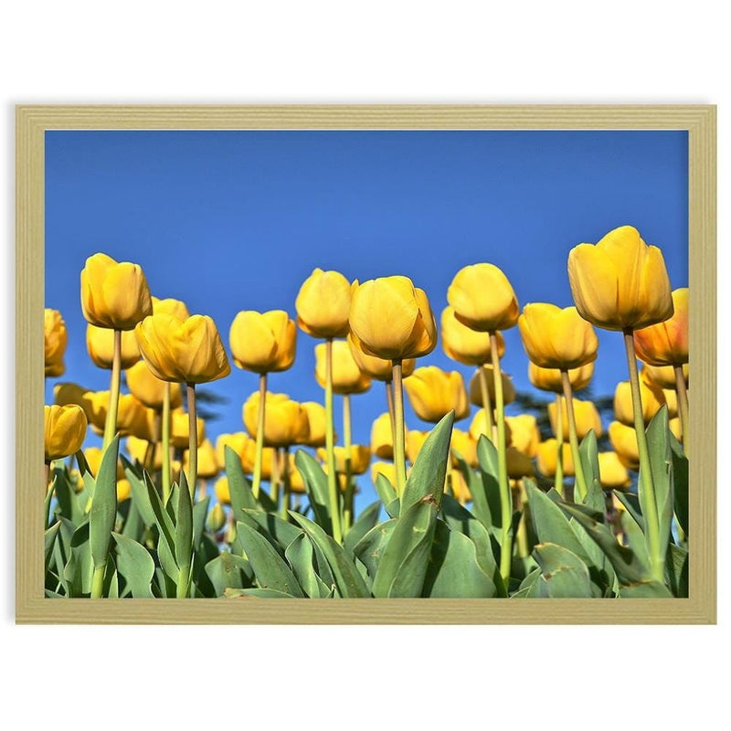 Glezna bēšā rāmī - Yellowe Flowers  Home Trends DECO