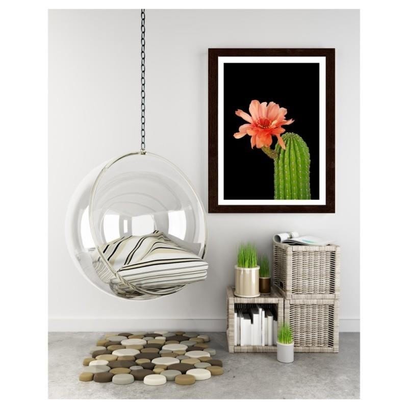 Glezna brūnā rāmī - A cactus with a red flower  Home Trends DECO