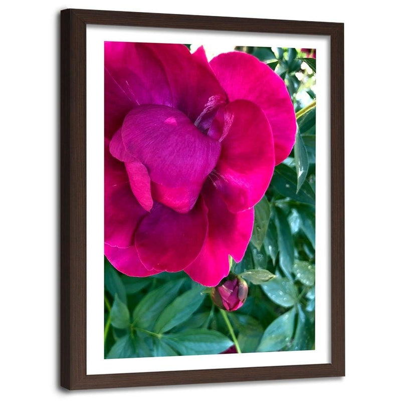 Glezna brūnā rāmī - A Large Pink Flower  Home Trends DECO