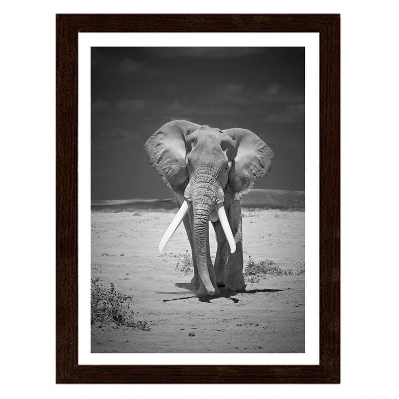 Glezna brūnā rāmī - A lonely wandering elephant  Home Trends DECO