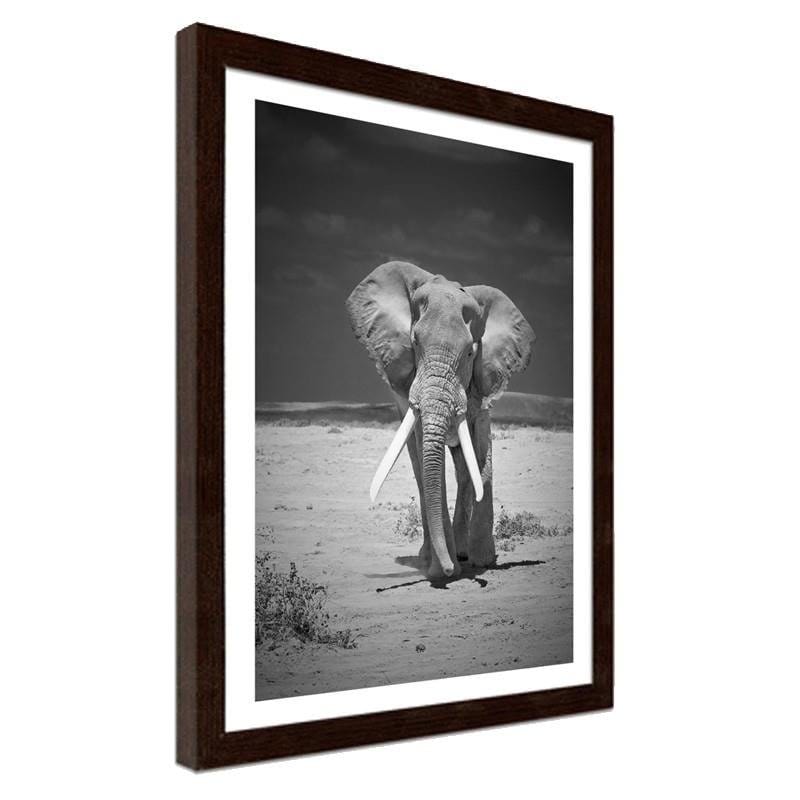 Glezna brūnā rāmī - A lonely wandering elephant  Home Trends DECO