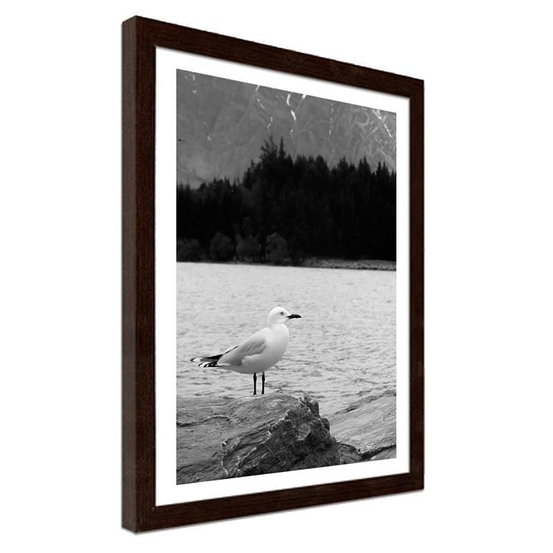 Glezna brūnā rāmī - A seagull on a rock  Home Trends DECO