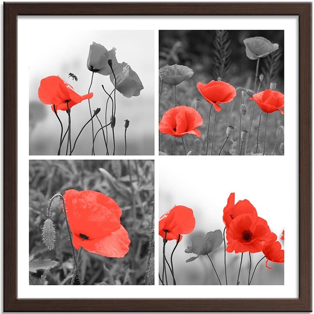 Glezna brūnā rāmī - A Set Of Red Poppies  Home Trends DECO