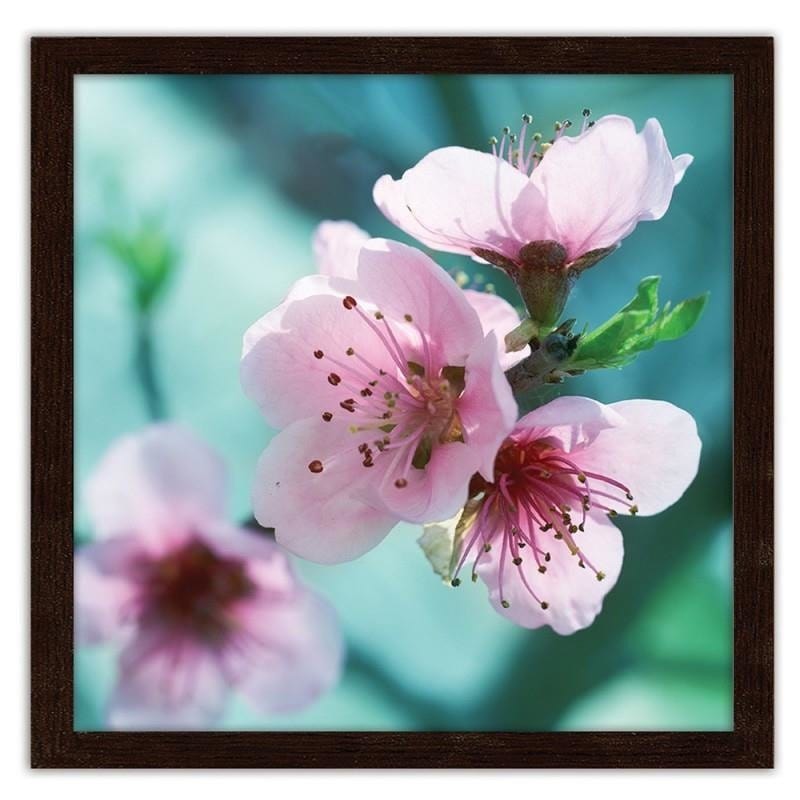 Glezna brūnā rāmī - Almond pink flowers  Home Trends DECO