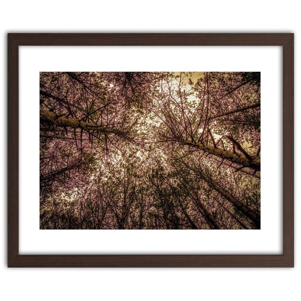 Glezna brūnā rāmī - Among The Trees  Home Trends DECO