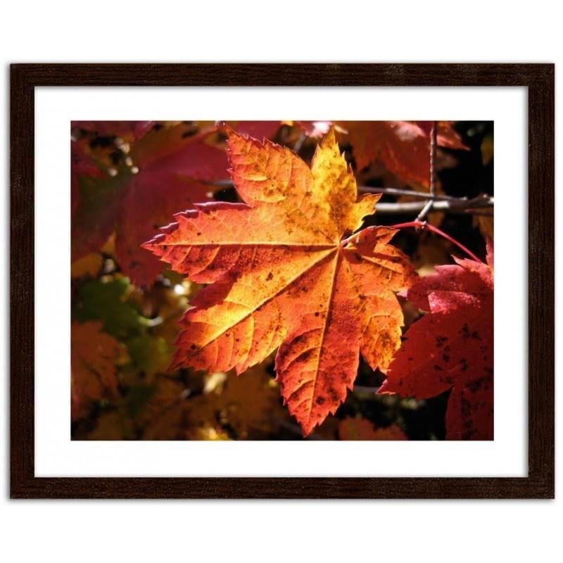 Glezna brūnā rāmī - Autumn leaf  Home Trends DECO