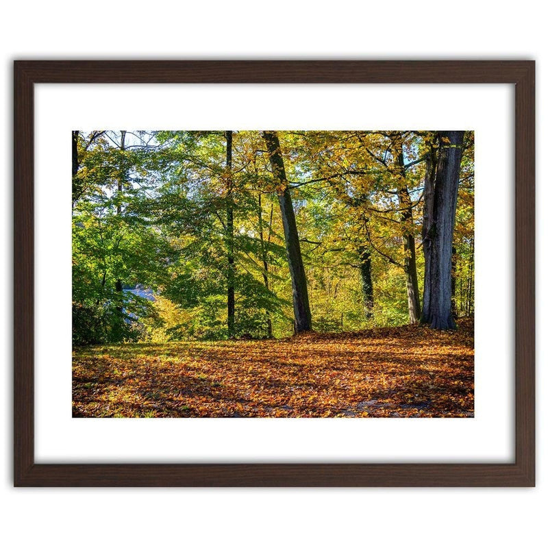 Glezna brūnā rāmī - Autumn Leaves In The Park  Home Trends DECO