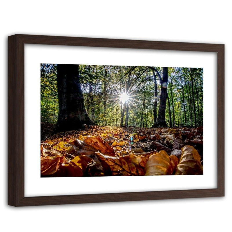 Glezna brūnā rāmī - Autumn Leaves In The Sun  Home Trends DECO