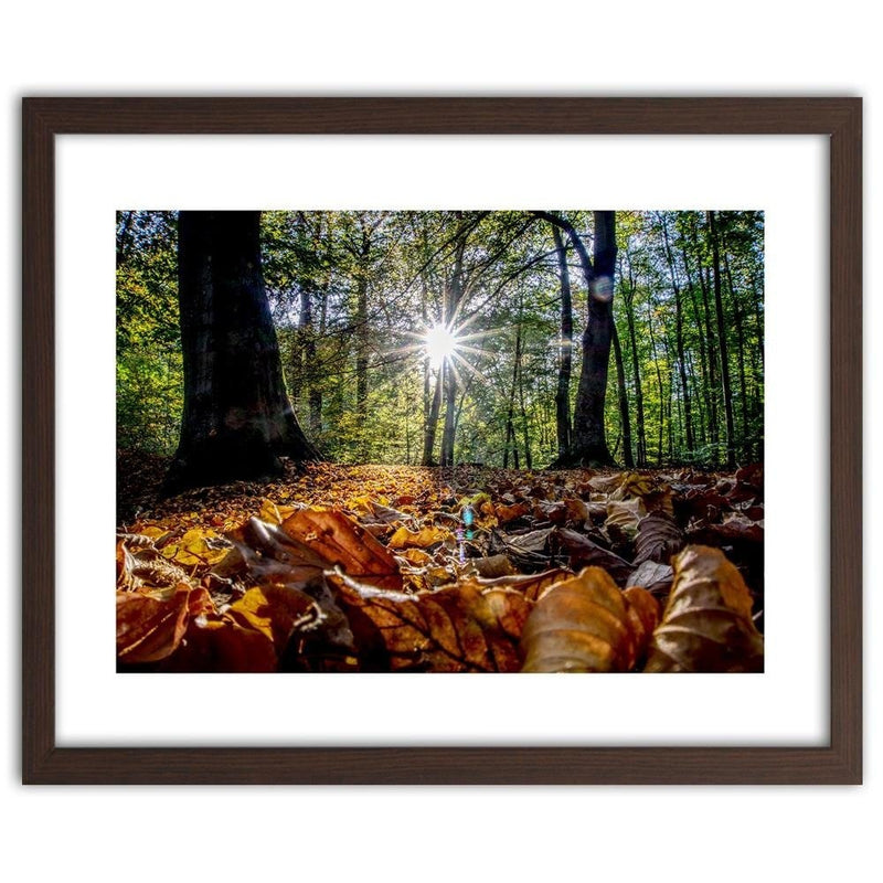 Glezna brūnā rāmī - Autumn Leaves In The Sun  Home Trends DECO