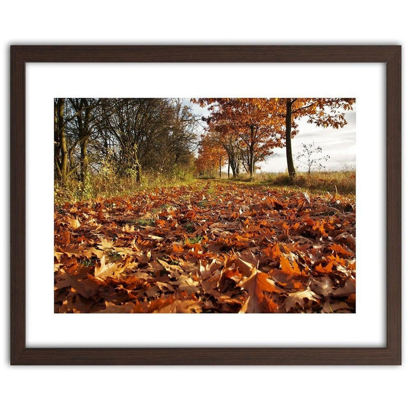 Glezna brūnā rāmī - Autumn Leaves On The Forest Road  Home Trends DECO