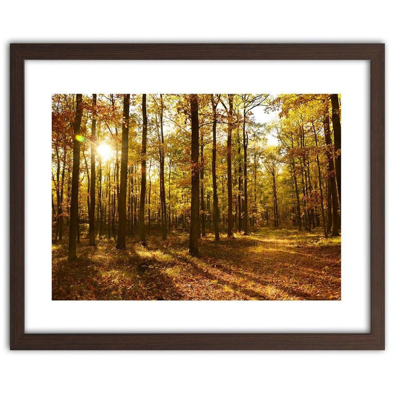 Glezna brūnā rāmī - Autumn Sun Rays In The Forest  Home Trends DECO