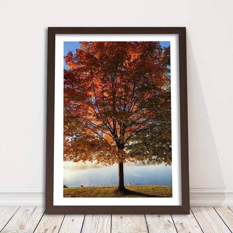 Glezna brūnā rāmī - Autumn Tree  Home Trends DECO